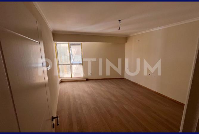 7996701 - Property Image 2