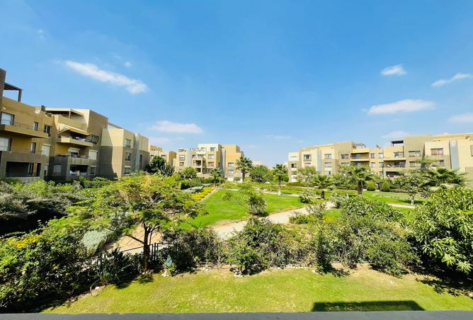 7897556 - صورة العقار 2