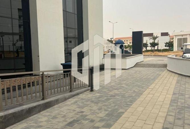 8261975 - Property Image 2