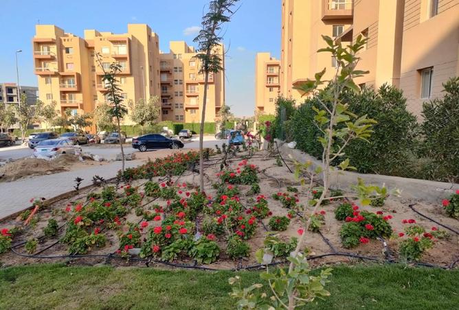 7907973 - Property Image 3