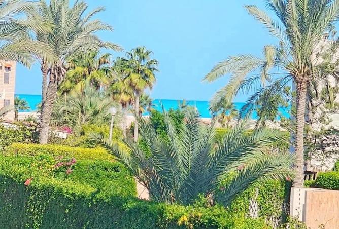 8414671 - صورة العقار 2