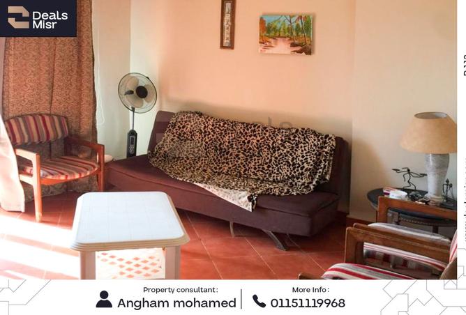7932036 - Property Image 3