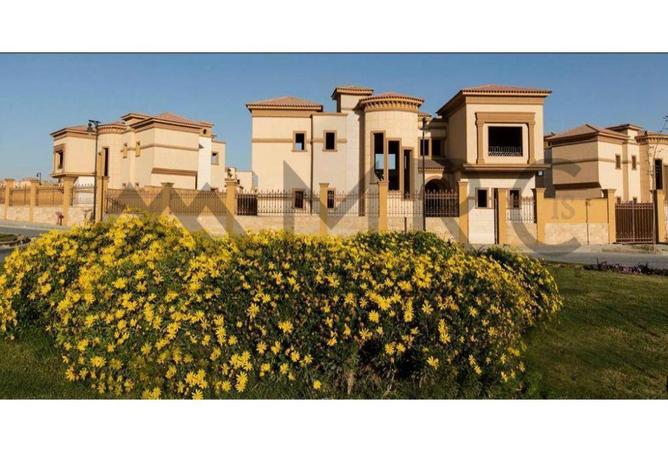 7977888 - صورة العقار 3