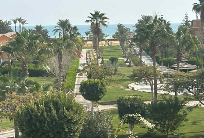 7895636 - صورة العقار 2