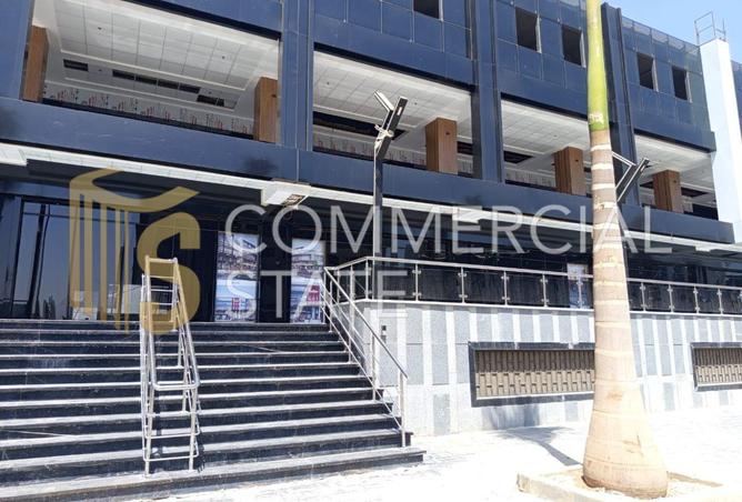 8087599 - Property Image 3