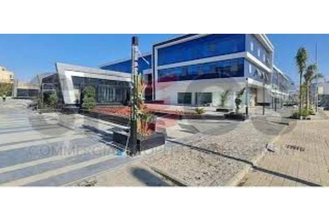 7923352 - Property Image 3