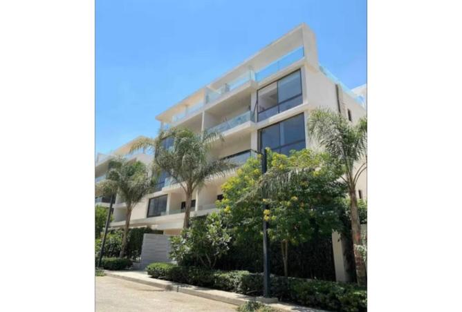 8205480 - Property Image 3