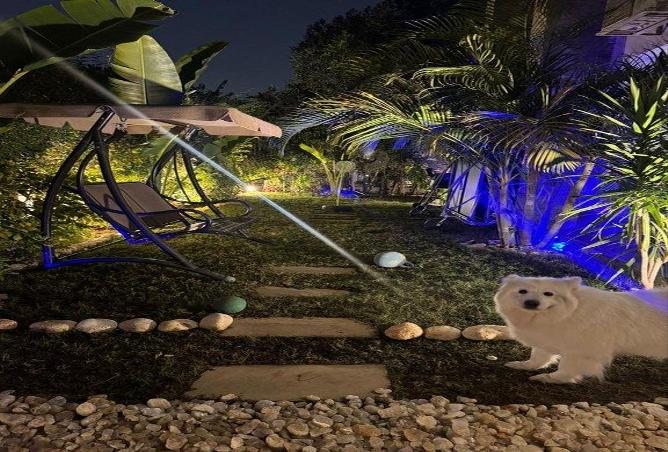 8002005 - Property Image 2