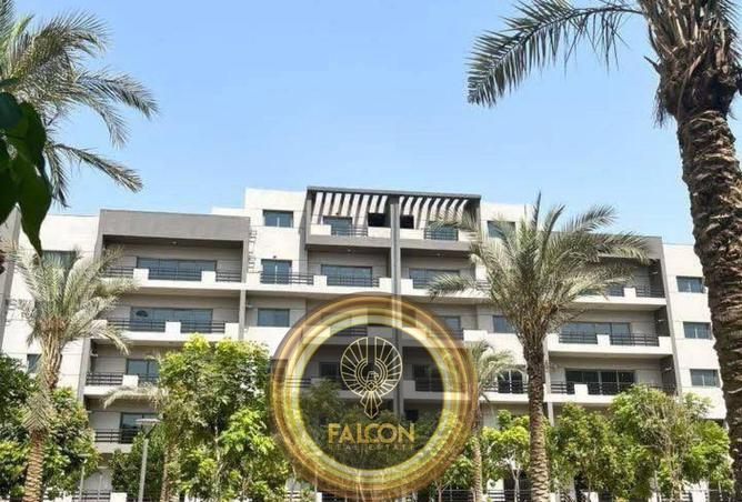 8453254 - Property Image 2