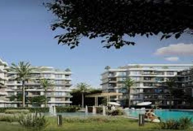 8088865 - Property Image 3