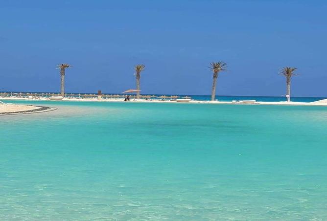 8114385 - صورة العقار 3