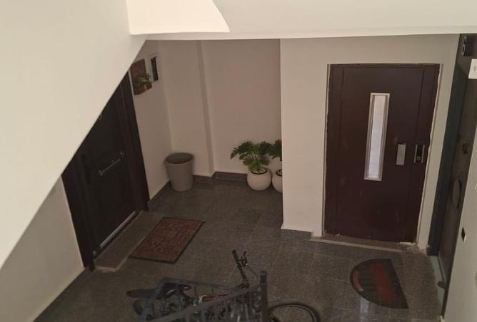 7899915 - Property Image 2