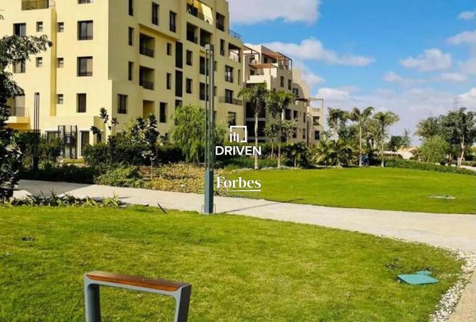 8172790 - Property Image 3