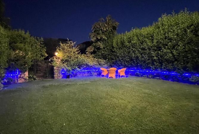 8187986 - صورة العقار 3