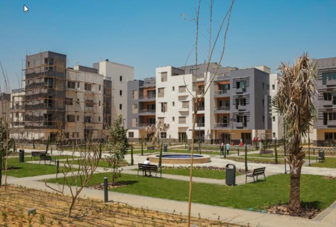 7996455 - Property Image 2