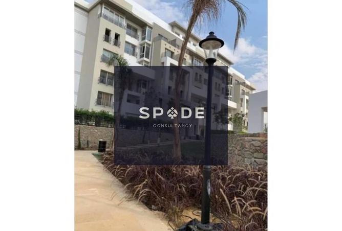 8243570 - Property Image 3