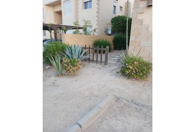 8136856 - صورة العقار 3