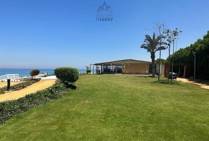 8218154 - صورة العقار 3