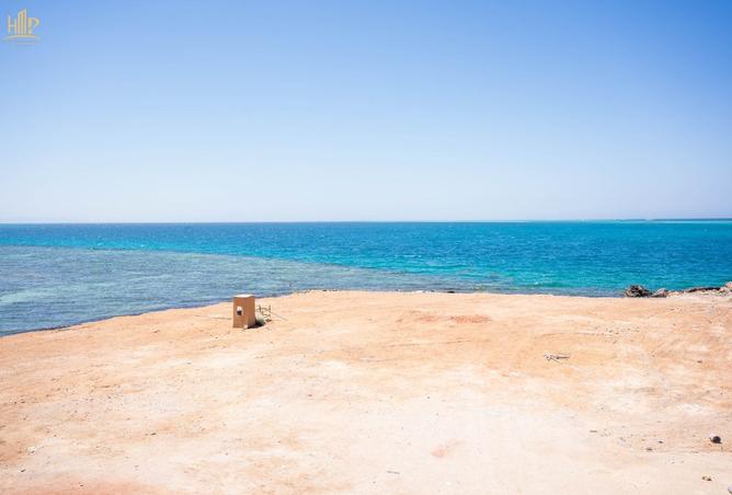 7951374 - صورة العقار 3