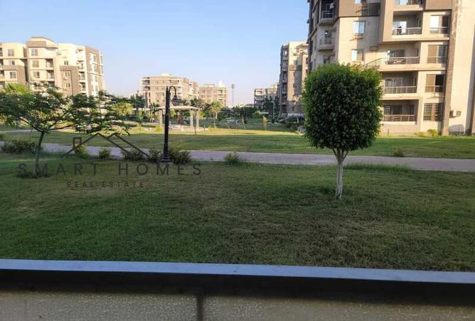 8025043 - Property Image 3