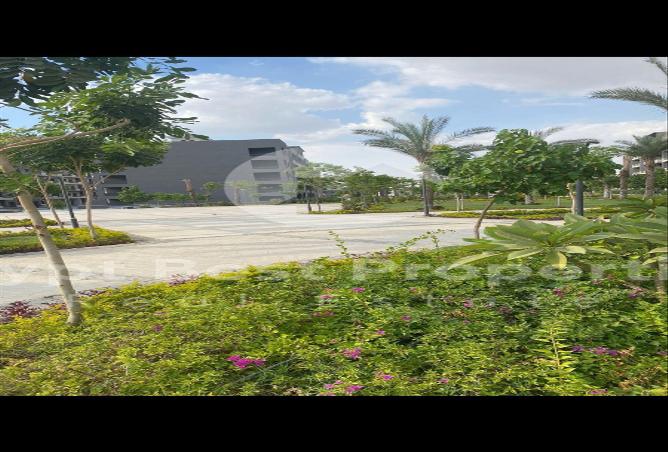 7971205 - صورة العقار 2