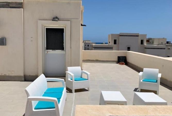 8429727 - Property Image 3