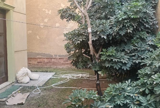 8174422 - صورة العقار 3