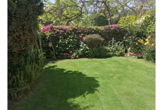 8448131 - Property Image 2