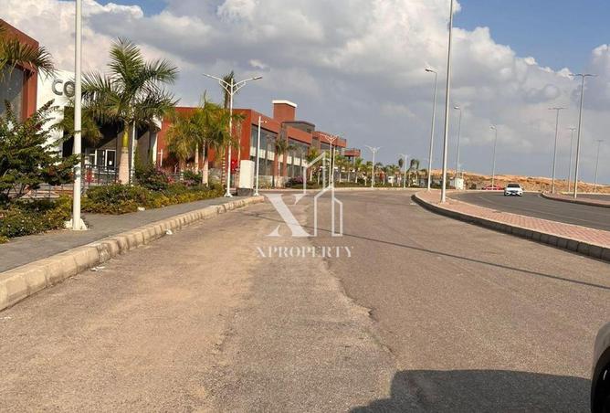 8021849 - صورة العقار 3