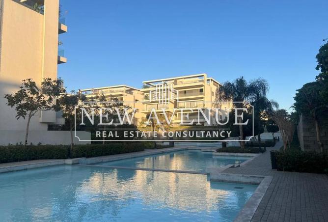 8127646 - Property Image 3