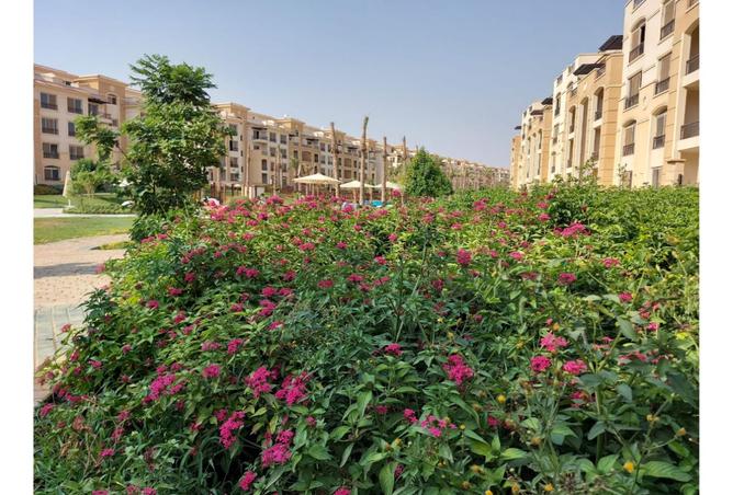 8355472 - Property Image 3