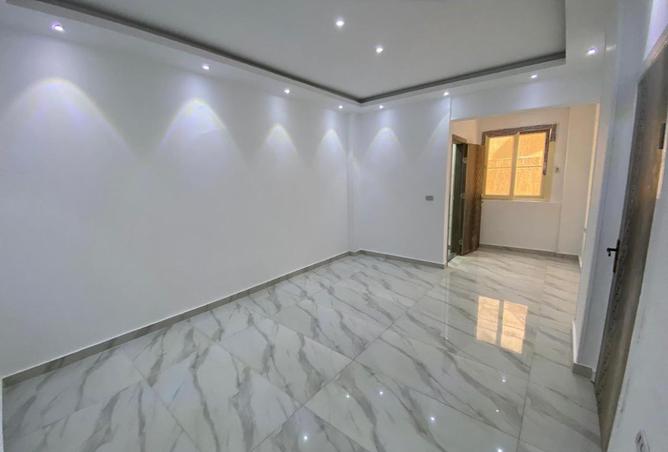 8198690 - Property Image 3