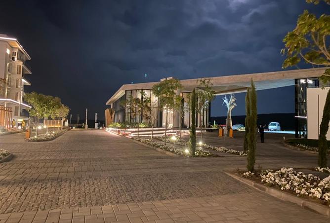 8410859 - Property Image 3