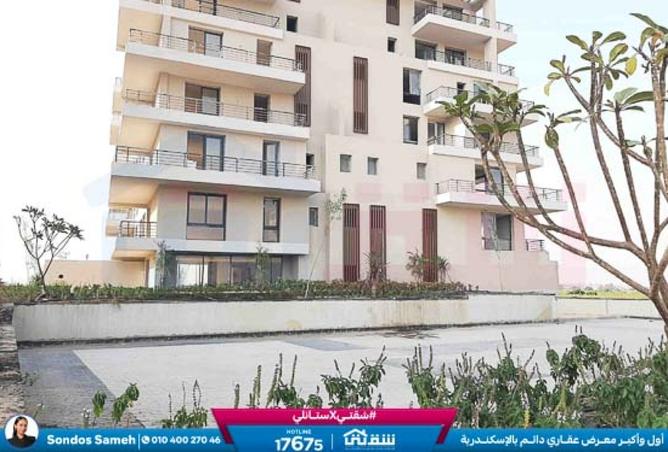 8484926 - الصورة الرئيسية للعقار