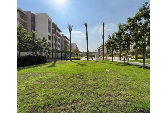 8052370 - Property Image 2