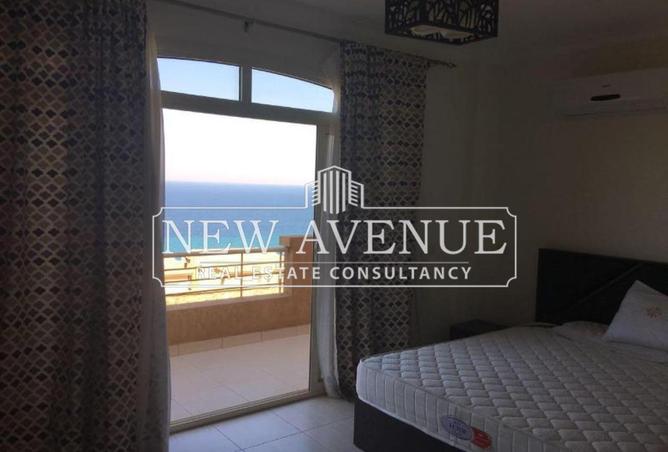 8113462 - Property Image 3
