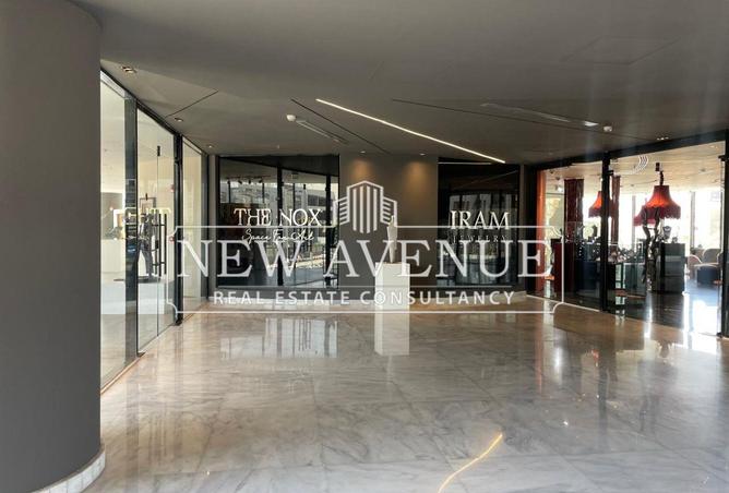 8375026 - Property Image 3