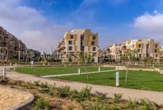 7905774 - صورة العقار 3
