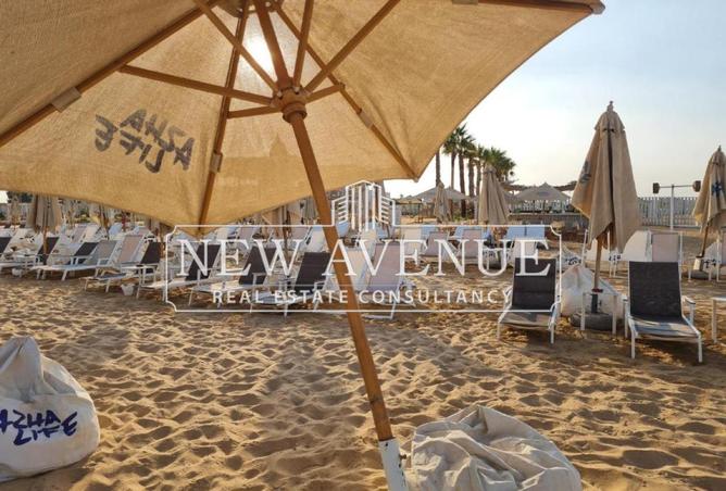 8342834 - الصورة الرئيسية للعقار