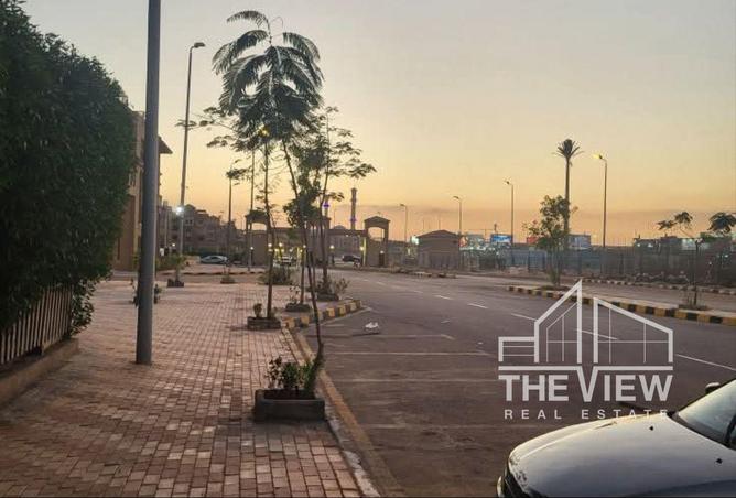 8392037 - Property Image 3