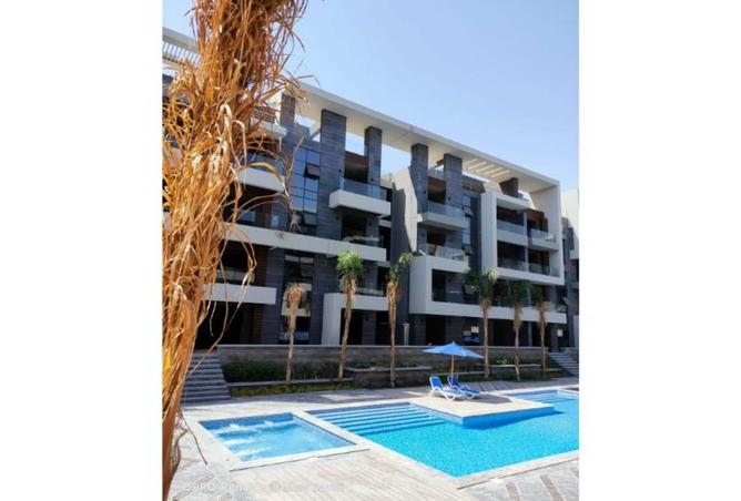 8241352 - Property Image 2