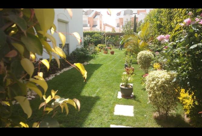 8218333 - Property Image 2