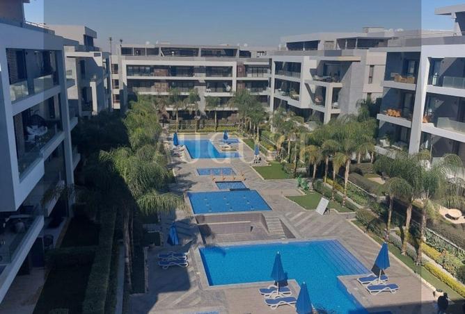 8172202 - صورة العقار 3