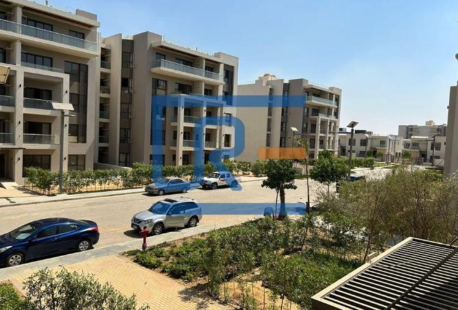8001162 - Property Image 3