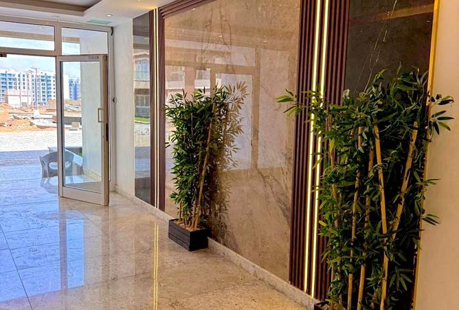 8182186 - صورة العقار 3