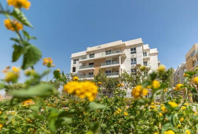 8435349 - Property Image 3