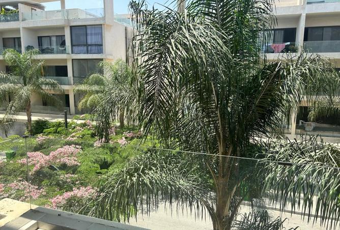 8034533 - صورة العقار 2