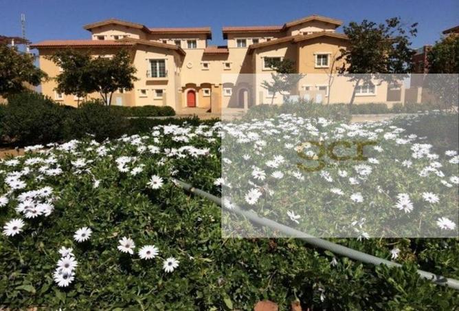 8197731 - صورة العقار 3