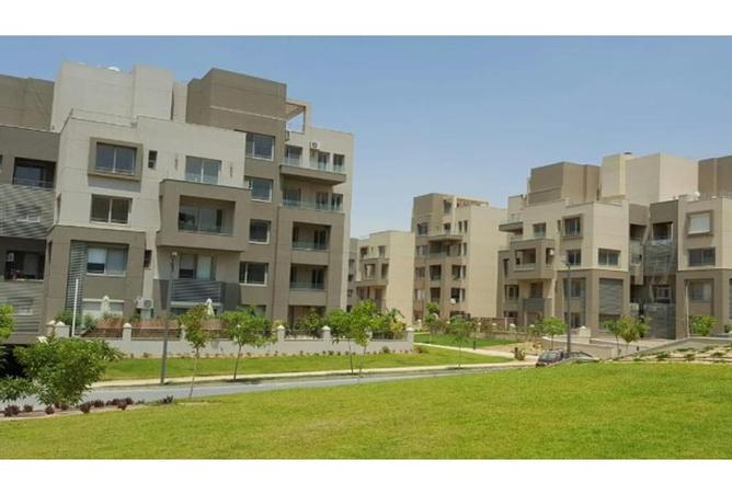 8262632 - صورة العقار 3