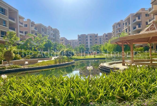 7884381 - صورة العقار 3